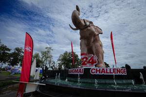 BIB: 
                            <button type="button" onclick="openModal(26528031)" class="btn btn-primary btn-sm float-right btn-popup" data-toggle="modal" data-target=".modal-high-quality">
                        <i class="fas fa-shopping-cart"></i> Add to Cart
                    </button>
                                            <button type="button" onclick="isThisMe(26528031, true)" class="btn btn-success btn-sm float-right btn-popup btn-isme hidden" data-toggle="tooltip" data-placement="bottom" title="นี่คือรูปของคุณใช่ไหม คลิกที่นี่เพื่อเอาเข้าอัลบั้ม">
                        <i class="fas fa-plus"></i> Add to album
                    </button>
                    <button type="button" onclick="isThisMe(26528031, false)" class="btn btn-warning btn-sm float-right btn-popup btn-isnotme hidden">
                        <i class="fas fa-ban"></i> Remove from album
                    </button>